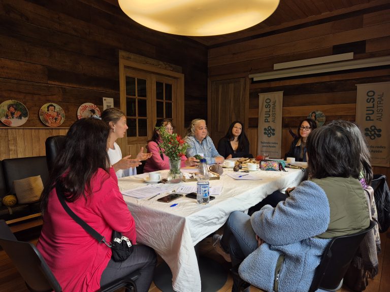 Mapeo de Artesanas: Primer grupo focal reunió a 19 artesanas de la zona centro de Aysén