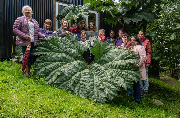 Residencia de arte y ecología