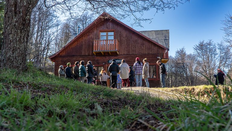 Abrimos postulaciones para la Escuela de Resiliencia Creativa