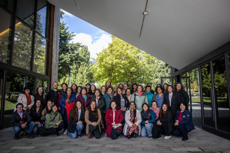 Mapeo revela que más de la mitad de las agrupaciones de artesanas de Aysén no tiene relevo generacional