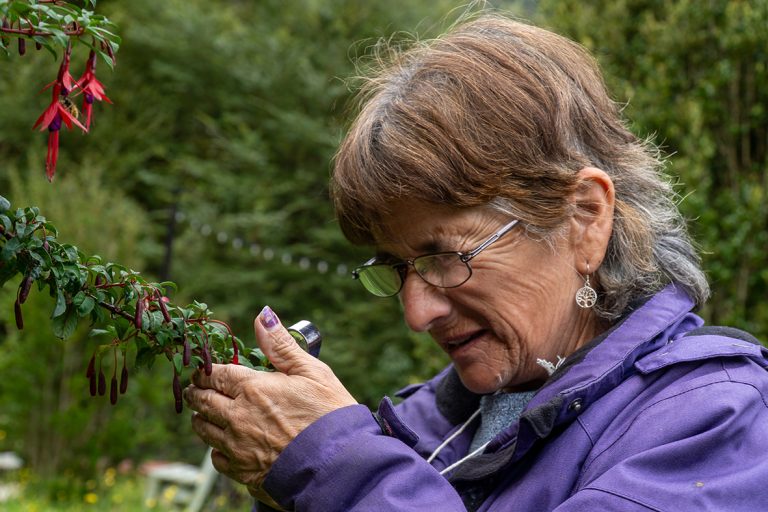 Residencia de botánica y artesanía textil reúne a artesanas del bosque templado