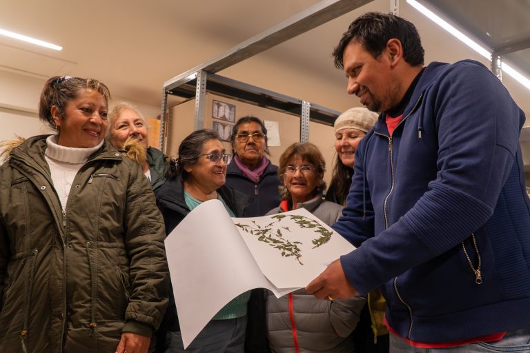 Descubriendo el herbario del Museo Regional de Aysén