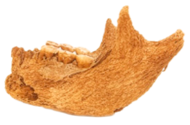 Linea_5_icon