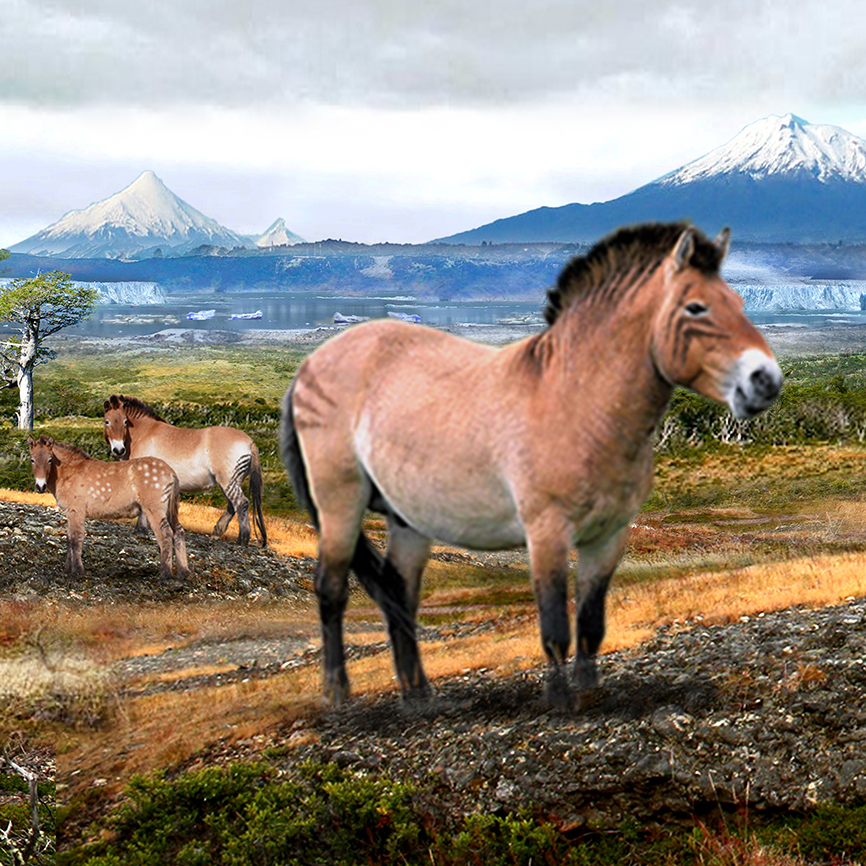 caballo-mauricio-alvarez