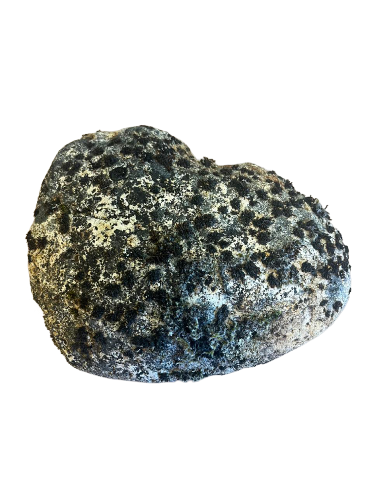 piedra