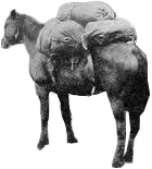 pilchero