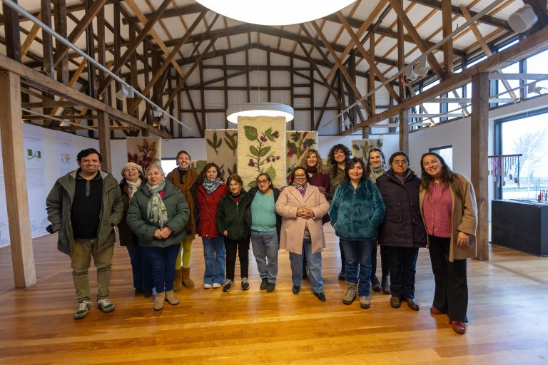 Botánica Textil